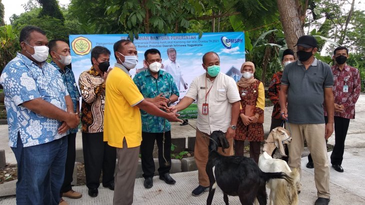 Penyerahan Kambing di Kelompok Ternak Ngudi Makmur Bedukan